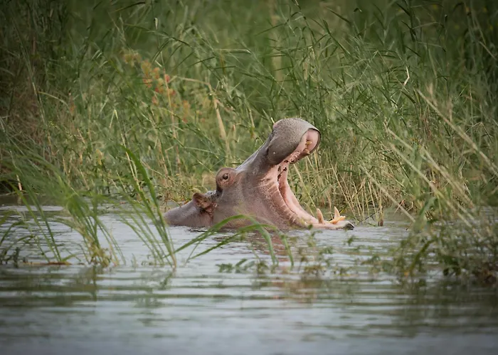 Divava Okavango